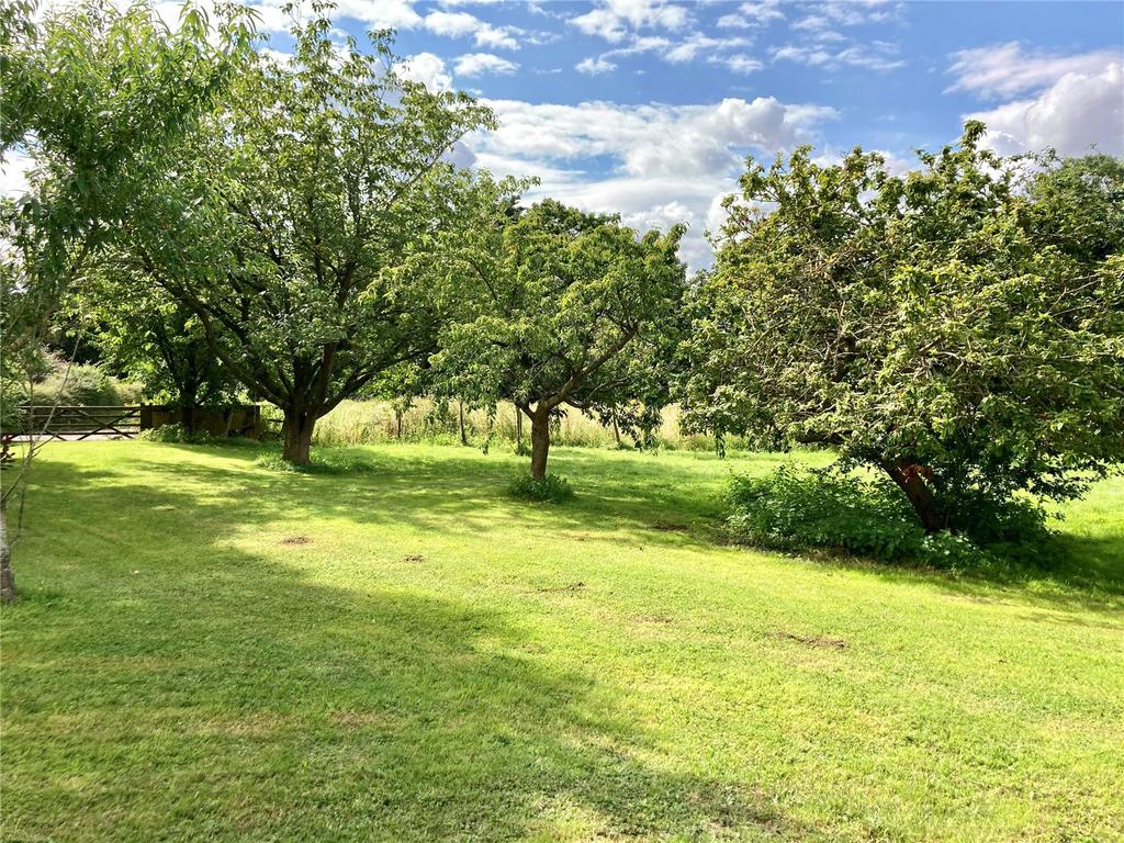 Orchard