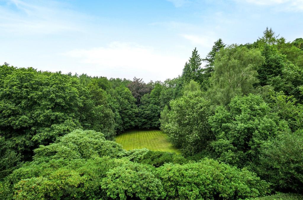 View Of Grounds