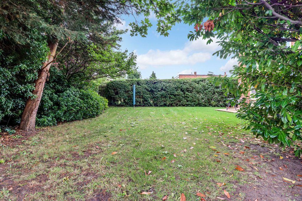 Garden at Back