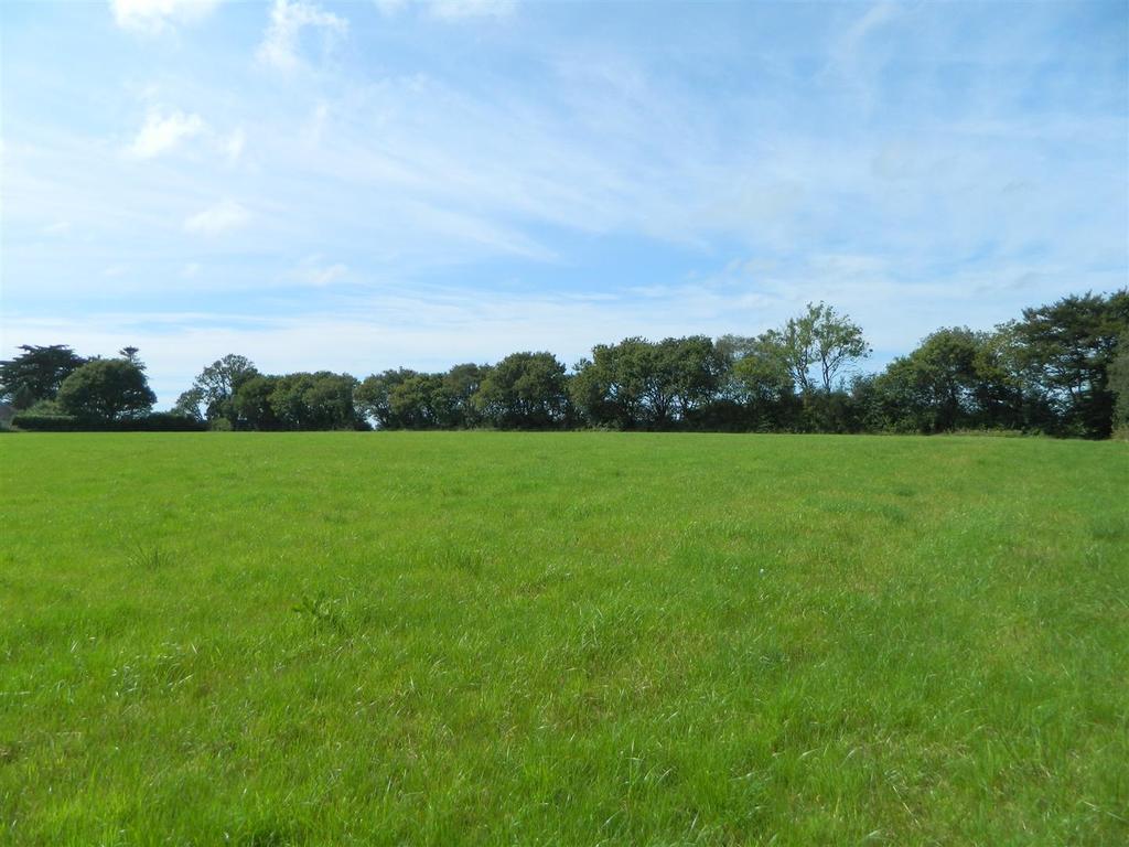 Dscn1955.jpg