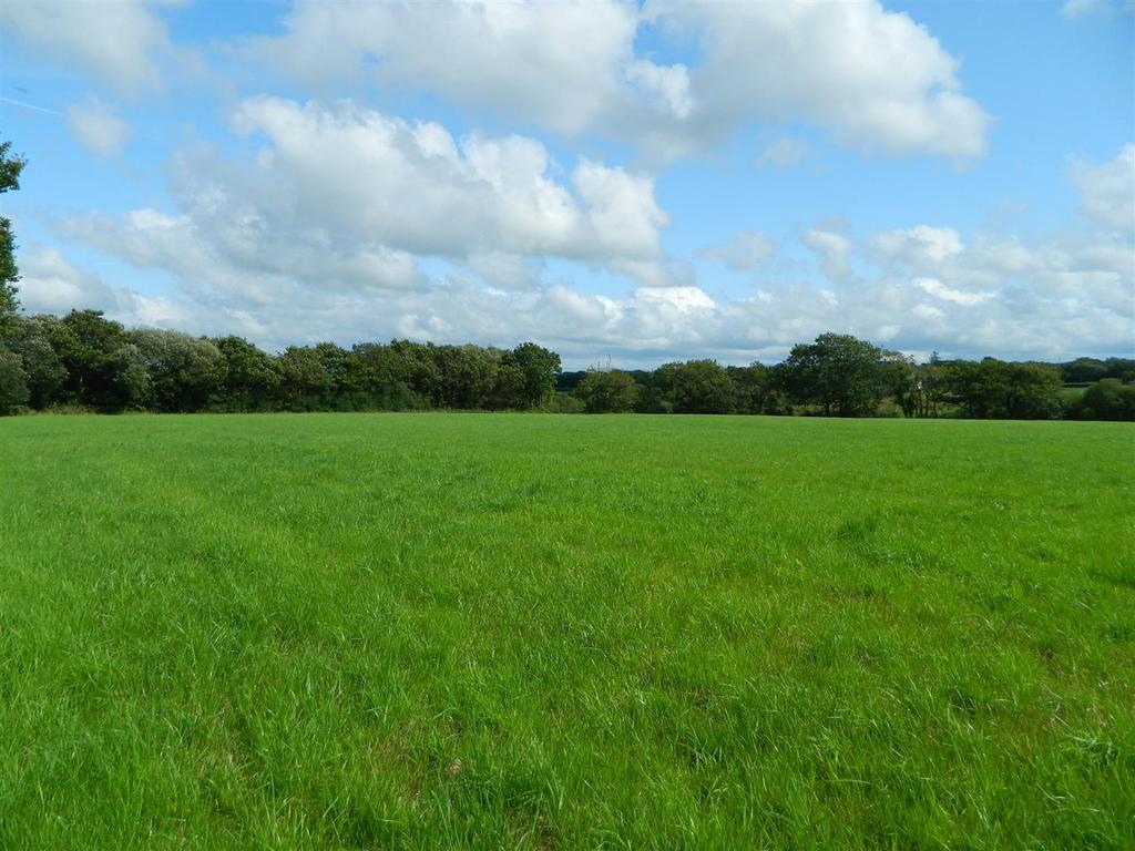 Dscn1949.jpg