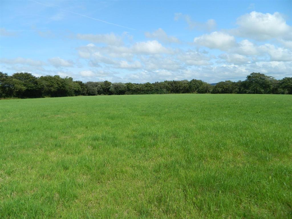 Dscn1970.jpg