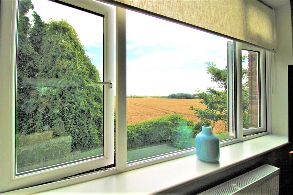 Window View