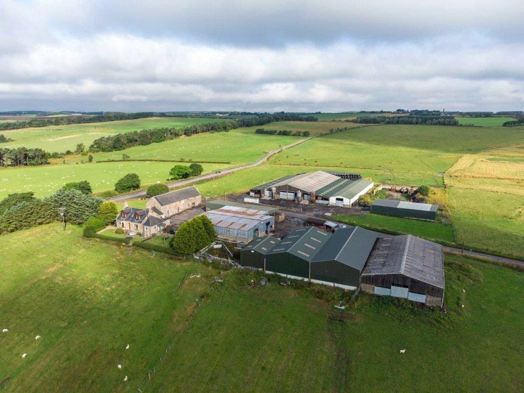 Lot 1 and 3