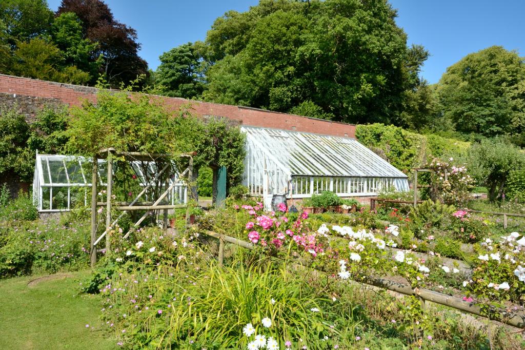 Kitchen Garden