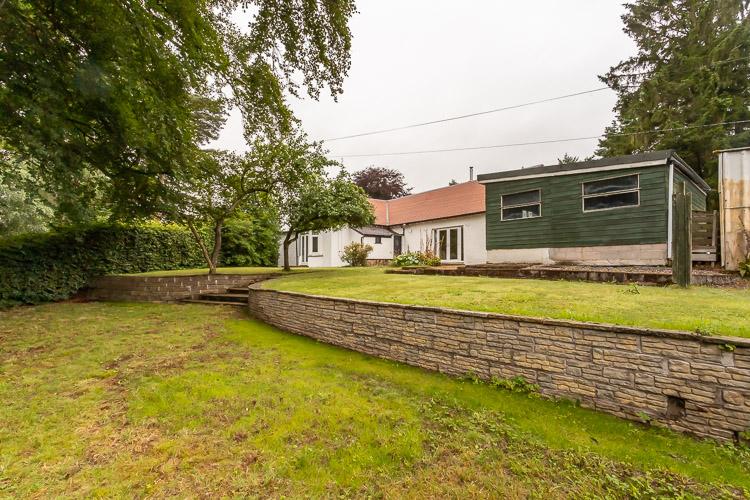 Rear Gardens