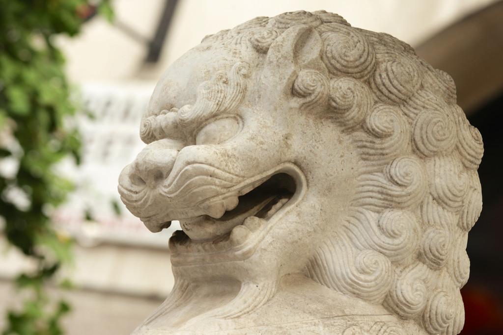 Stone Dragon