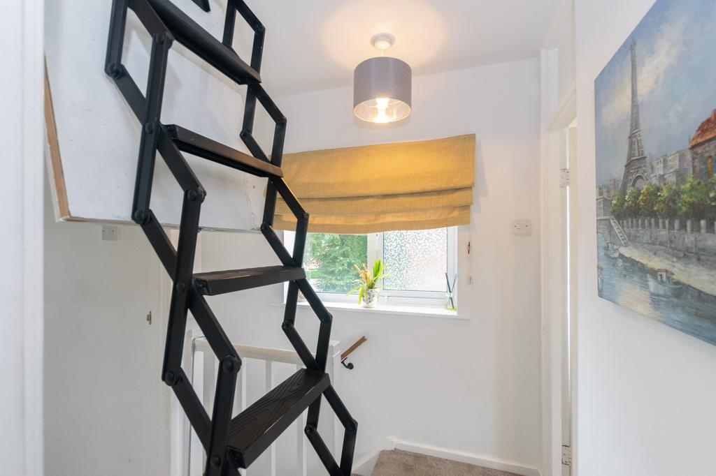 Loft Ladders