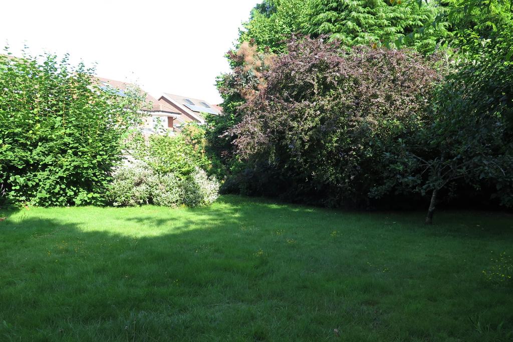 Rear garden