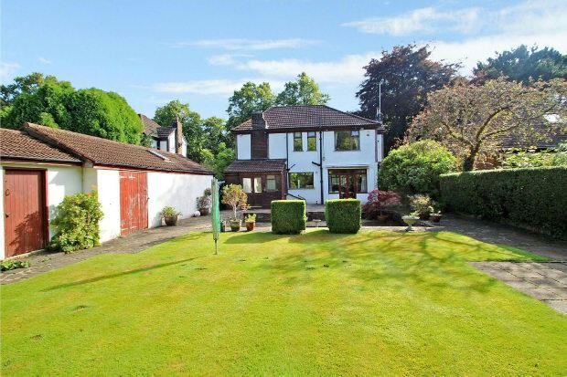 Rear of Property