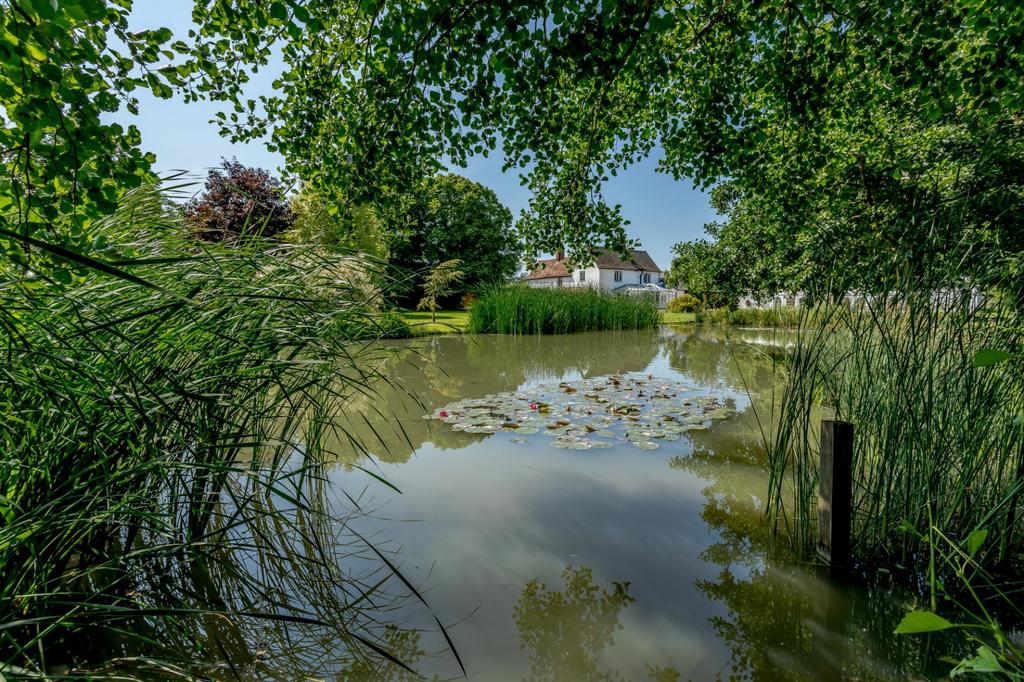 Lakeside