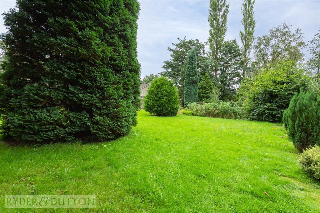Lawn