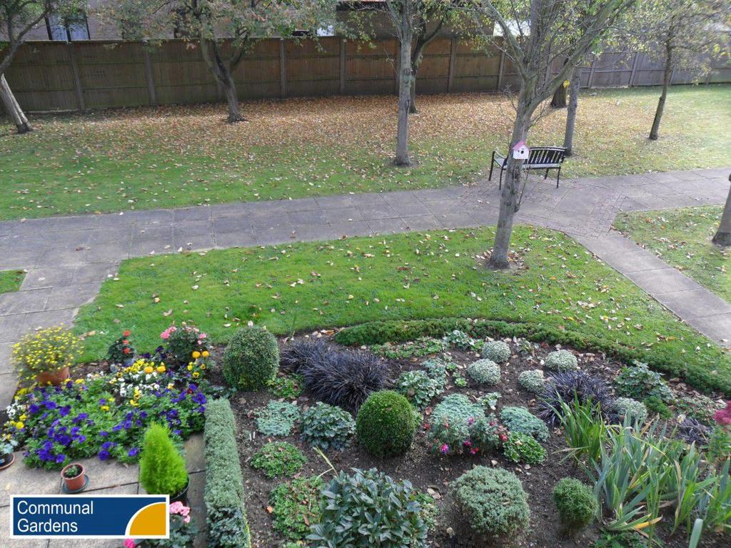 Communal Gardens