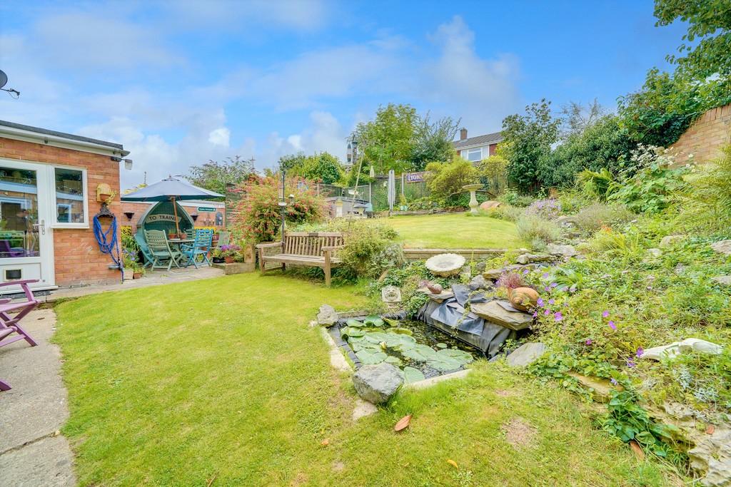 Back Garden