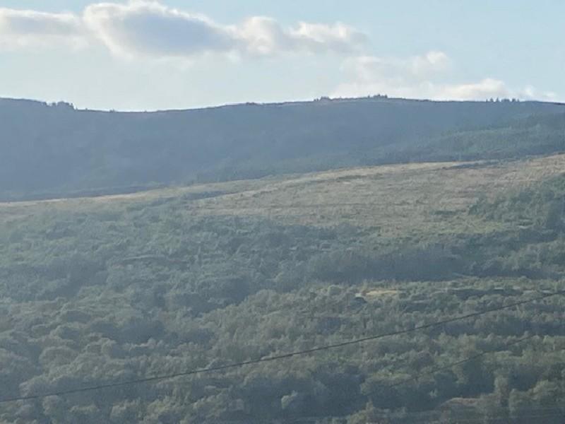 ..