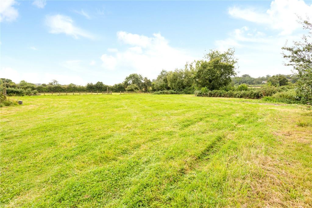 Pasture