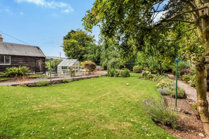 Garden (Small).jpg