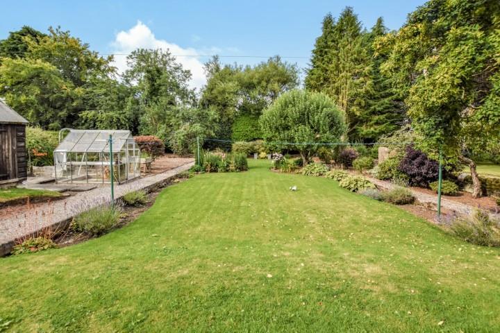 Garden (2) (Small).jpg