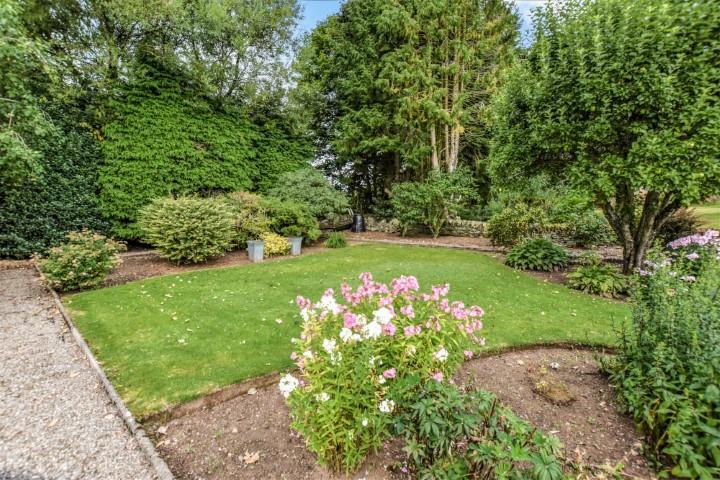 Garden (3) (Small).jpg