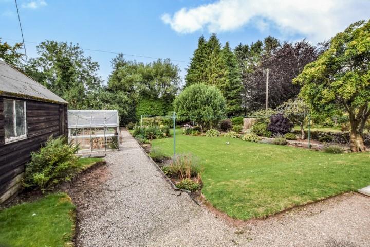Garden (5) (Small).jpg