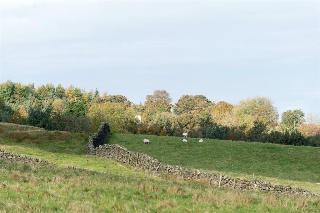Land