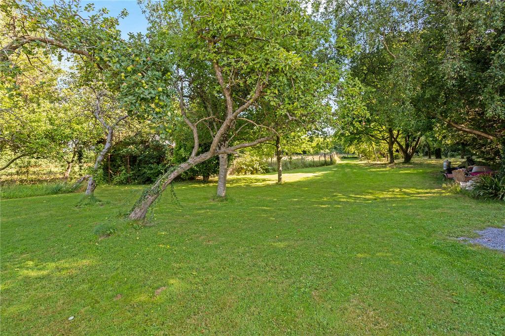 Orchard