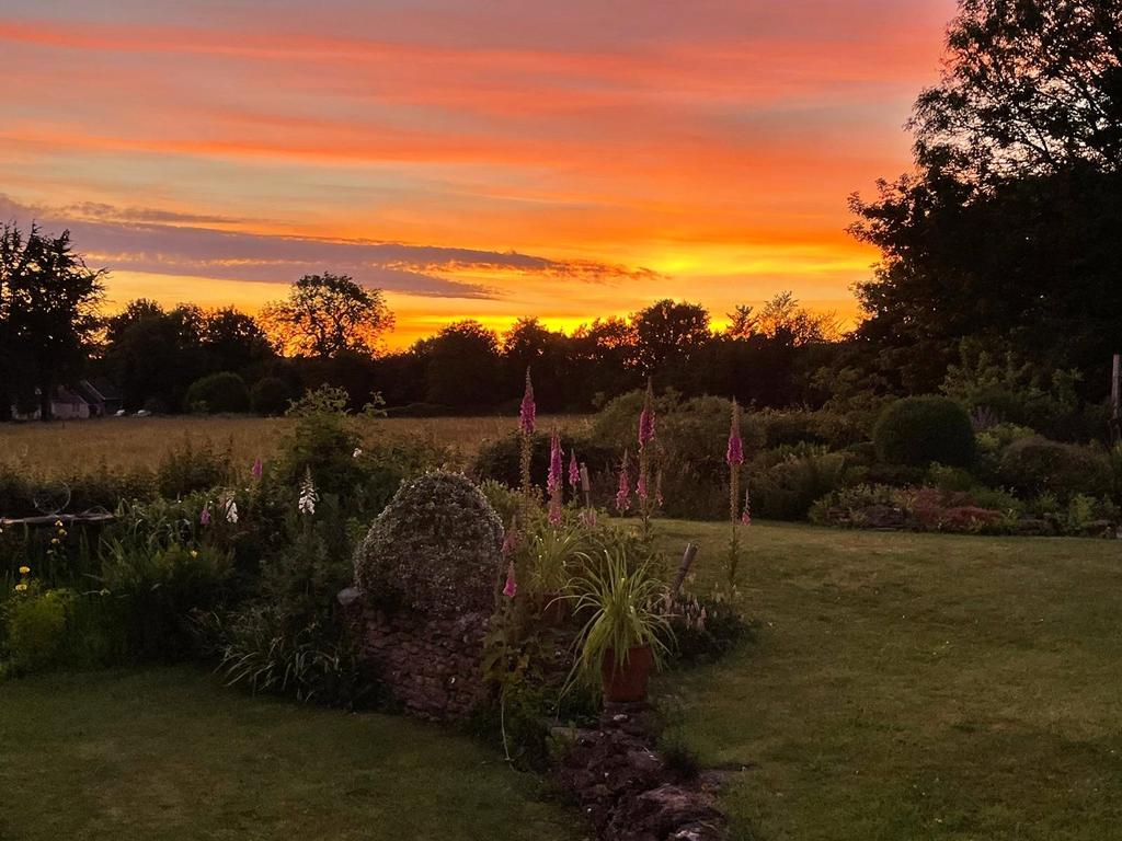 Garden At Sunset