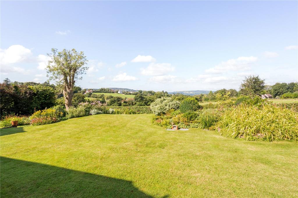 Garden/View