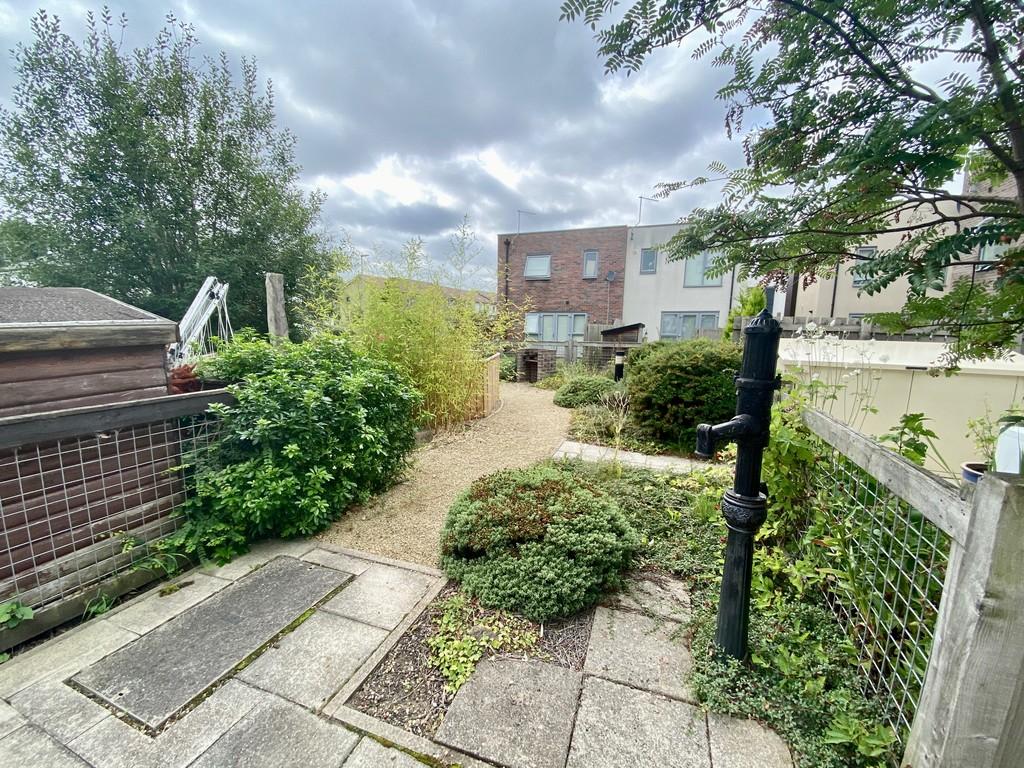 Communal backyard