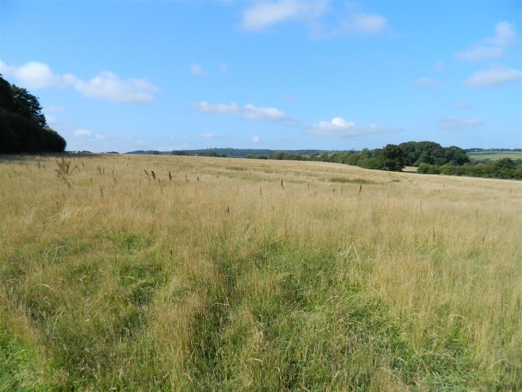 Exbourne, Okehampton Land £175,000