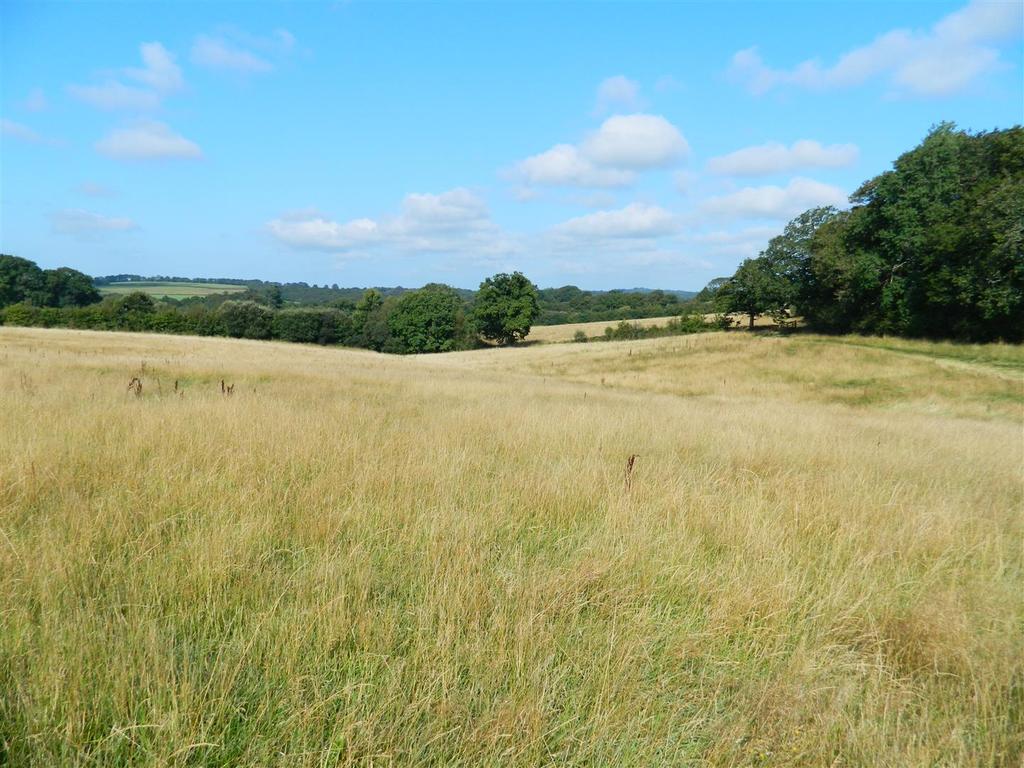Exbourne, Okehampton Land £175,000