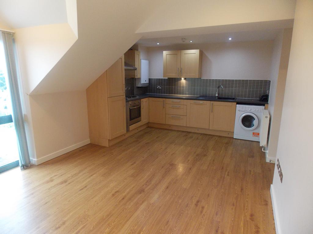 Kitchen/Living area