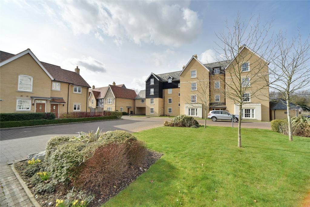 3 bedroom apartment to rent