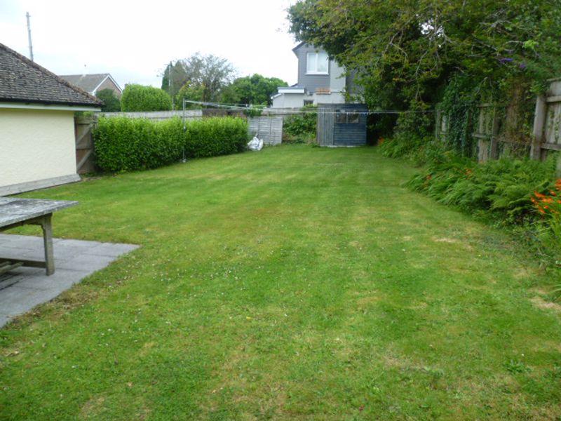 Back garden