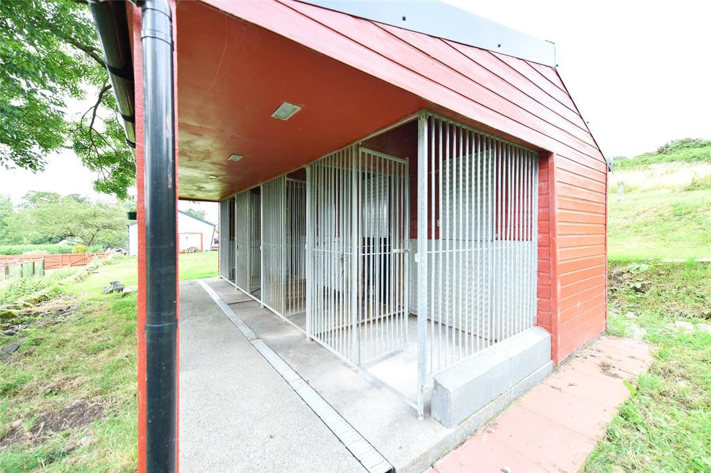 Kennel and Dog Run