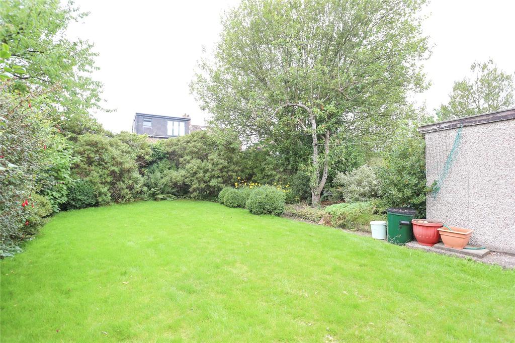 Picture 13