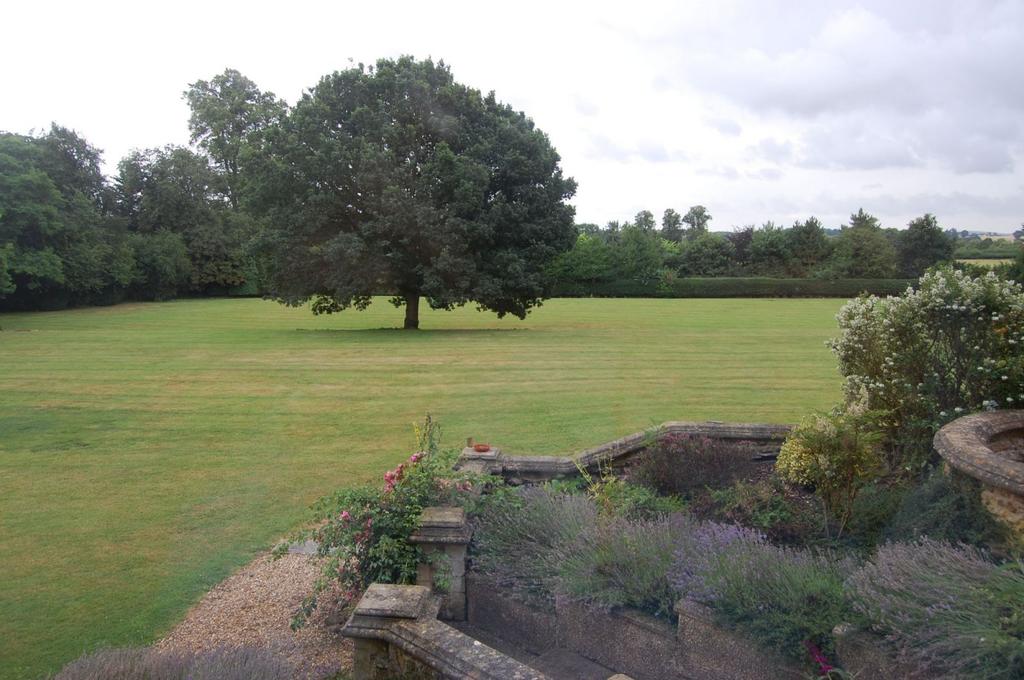 View from the kitchen