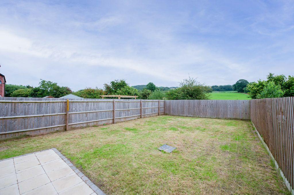 Garden at Back