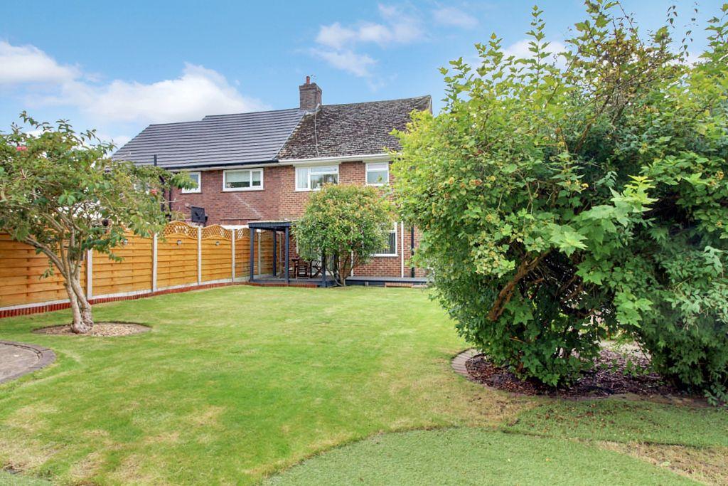 Garden at Back