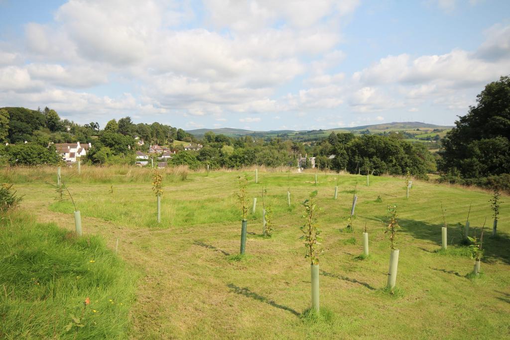 Oak House, Westport, New Galloway - Williamson and