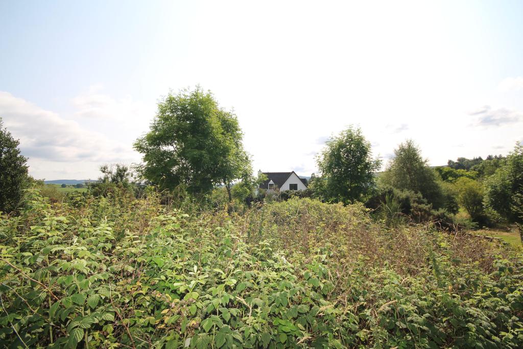 Oak House, Westport, New Galloway - Williamson and