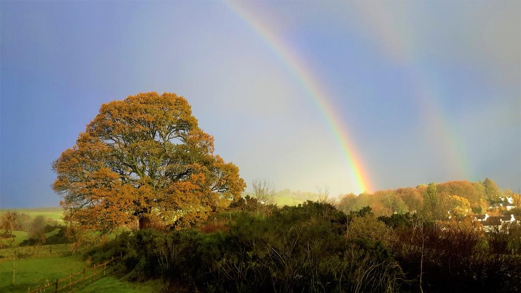 Oak House, Westport, New Galloway - Williamson and