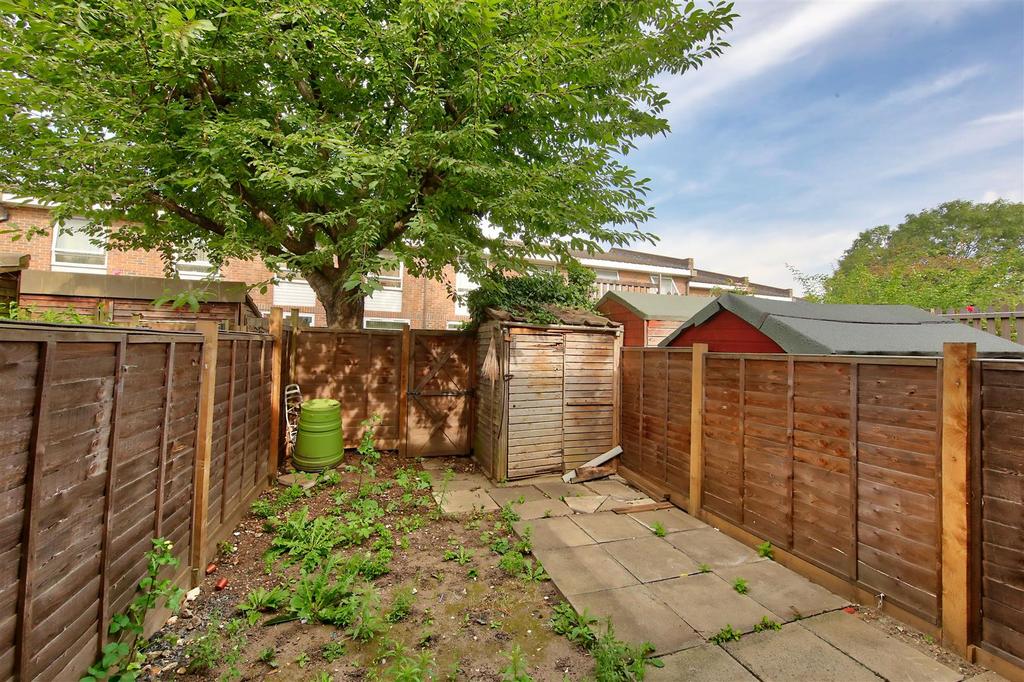 21 willow tree close image1 17539 4.jpg