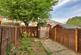 21 willow tree close image1 17539 4.jpg
