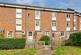 21 willow tree close image2 17539 4.jpg