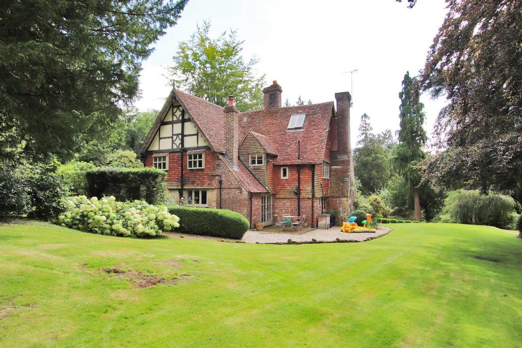 Rear Elevation
