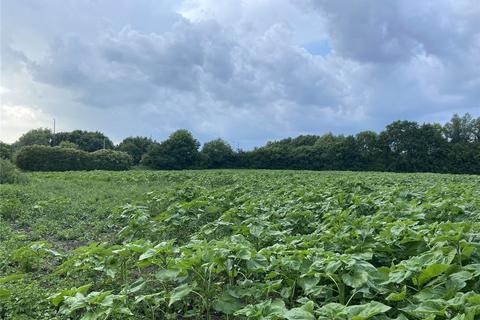undefined, Rosemary Corner, Brookland, Romney Marsh, TN29