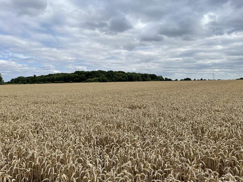 Land At Corby Glen, Grantham... Farm £3,000,000
