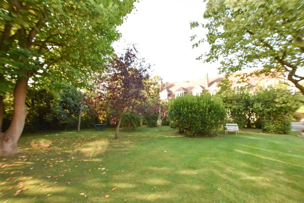 DSC 1477.jpg