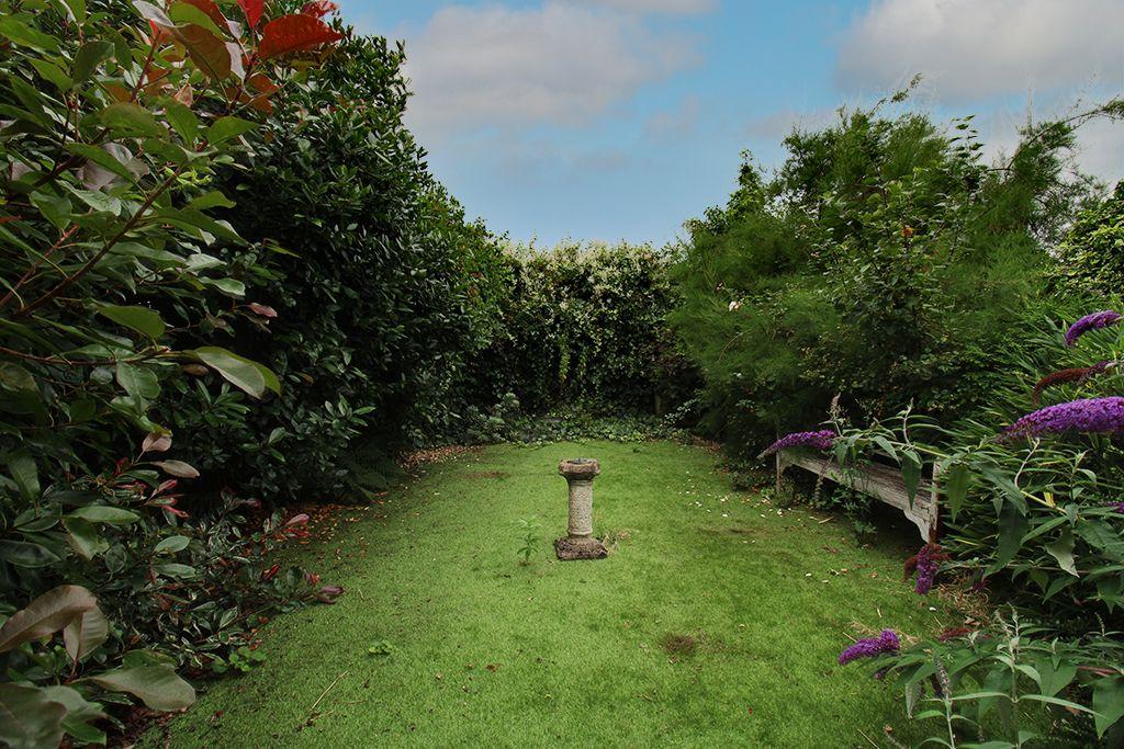 Garden at Back